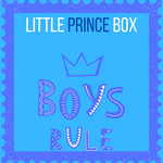 Kid Holiday 'Surprise' Box Fair Shade XSmall Boys Rule Holiday Box 