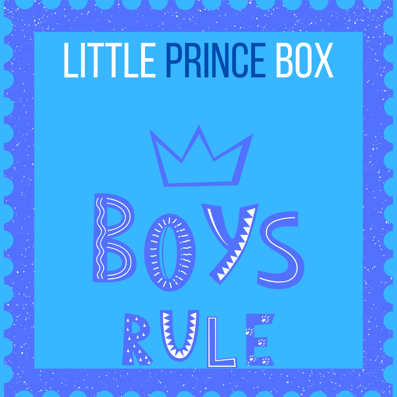 Kid Holiday 'Surprise' Box Fair Shade XSmall Boys Rule Holiday Box 